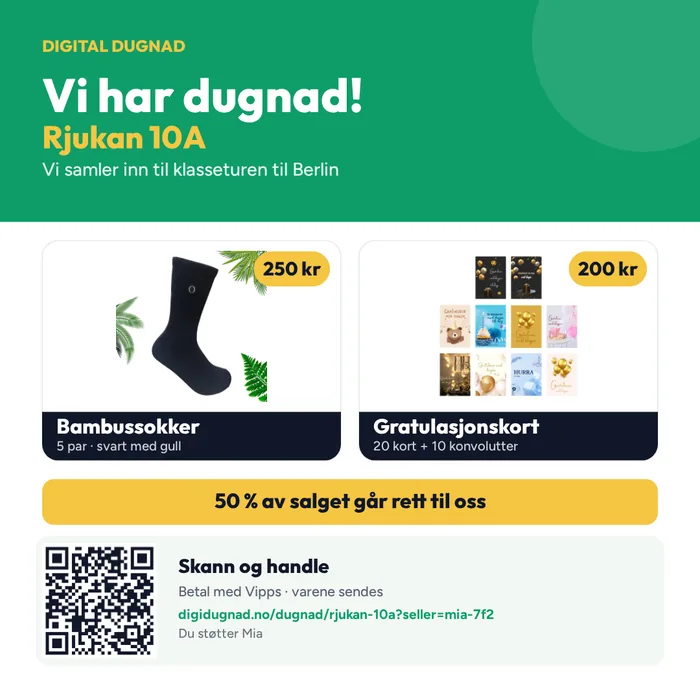 Salgspakken klassen får med QR-koder og lenke til egen nettbutikk